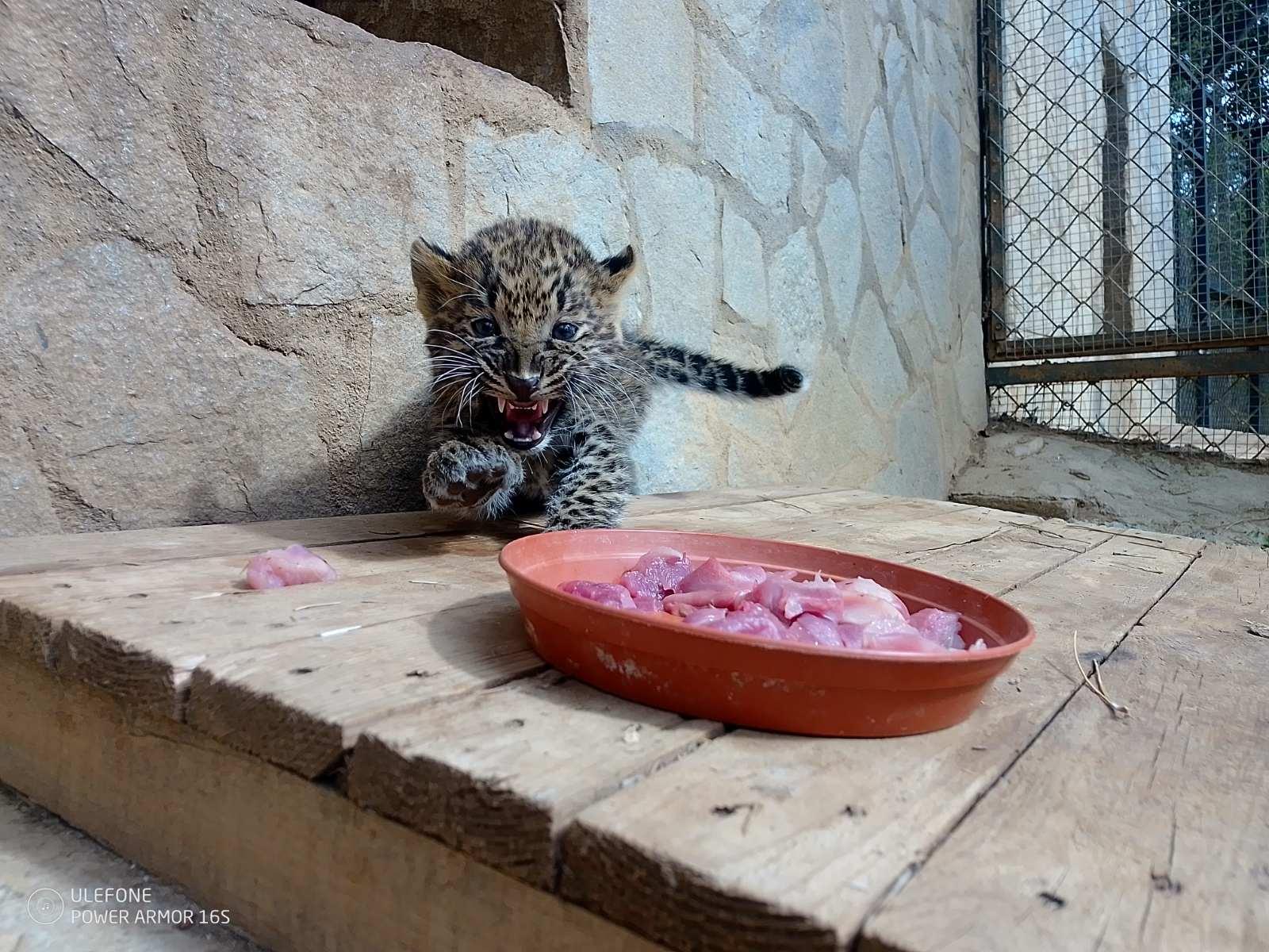 снимка