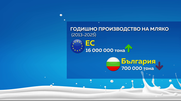 Снимка: Графики