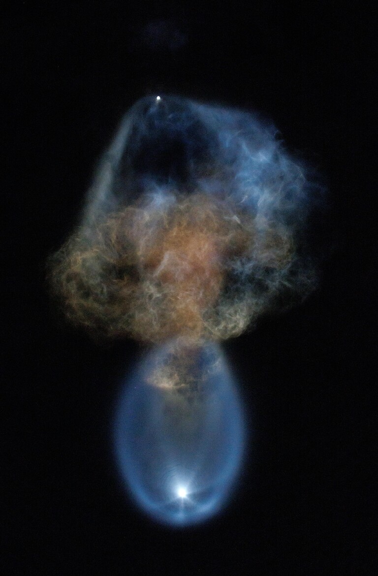 космическа медуза