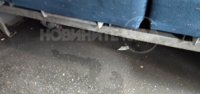Снимки в български влак