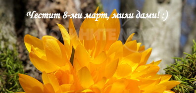 Честит 8 март!