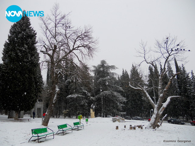 Снежно Аязмо