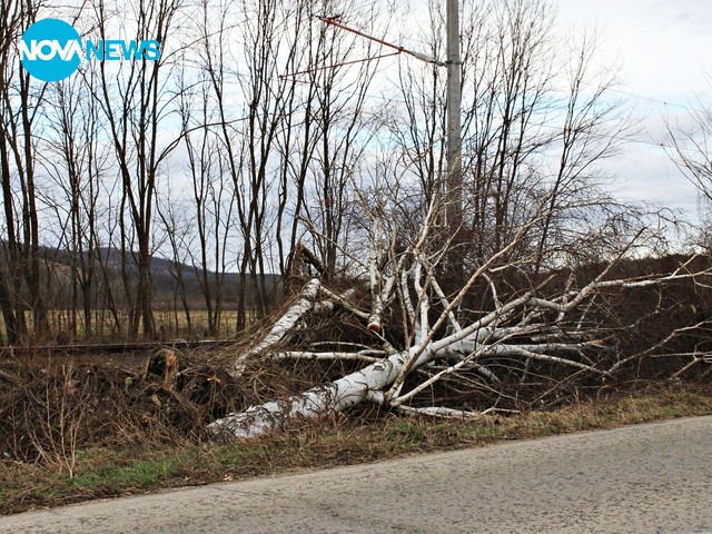 След ураганните ветрове в Северозапада