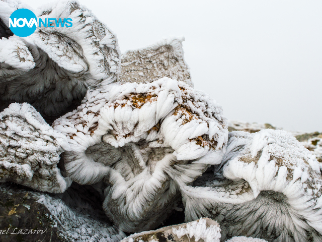 Снимка за прогнозата