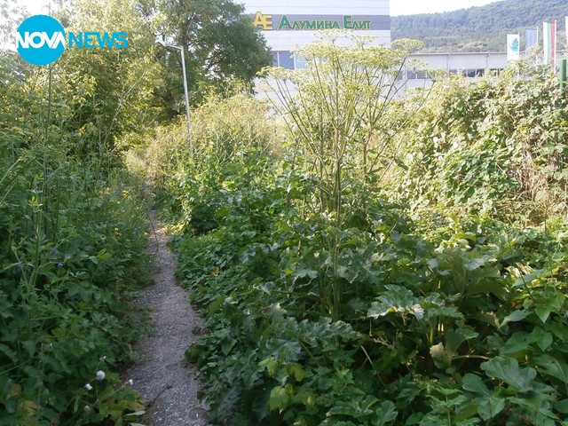 На път към работа