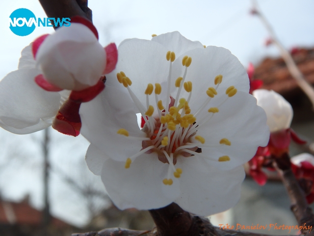 Пролет иде!