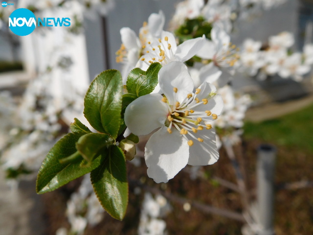 Честита пролет!