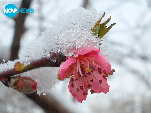 Снежно и нежно