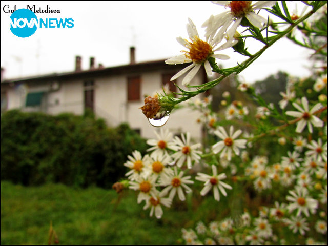 Дъждовни капки