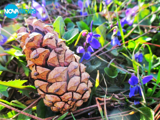 Пролетта идва