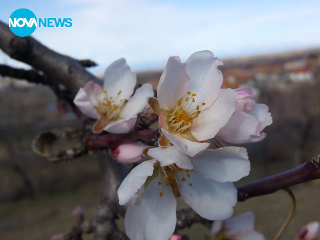 Пролетта настъпва