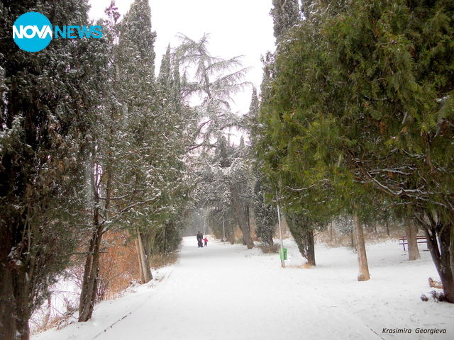 Снежен парк