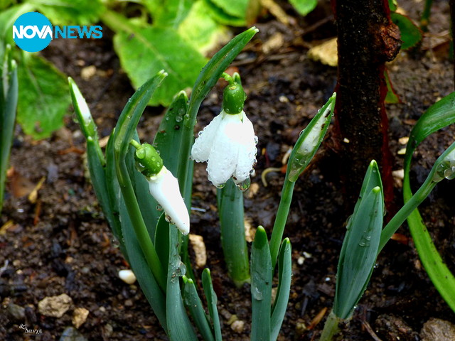 Здравей, Февруари!