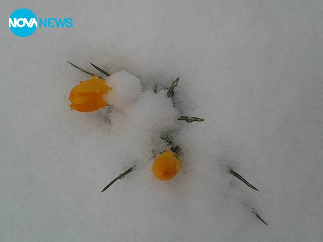 Природата над Стрелча