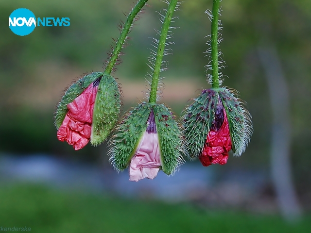 За прогнозата на времето - 3