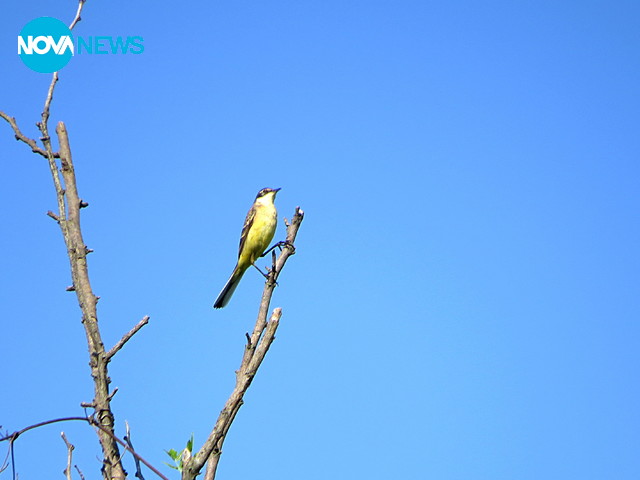 Прекрасен априлски ден!
