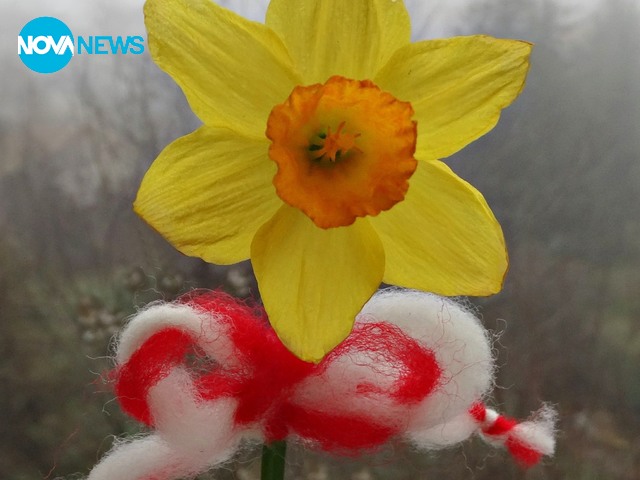 Баба Марта за "Прогноза за времето"