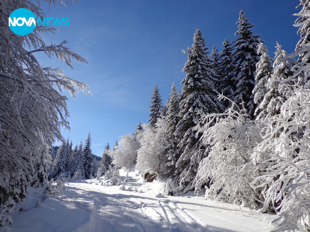 Зима в планината