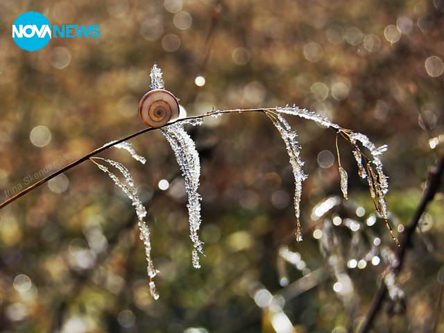 Прогноза за времето - 2