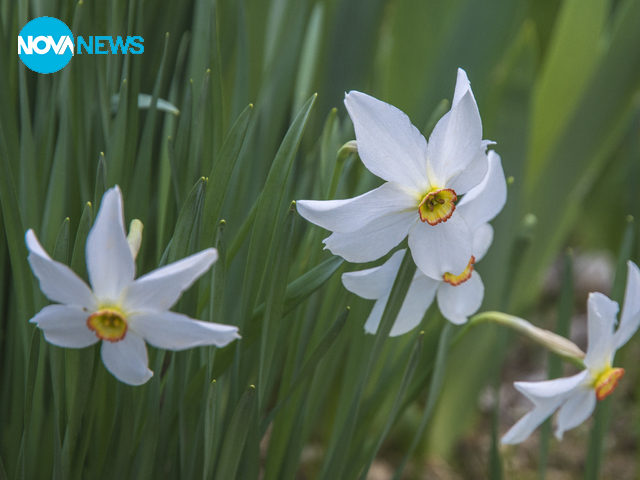 Снимка за прогнозата за времето
