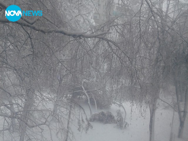 Обстановката в Русе