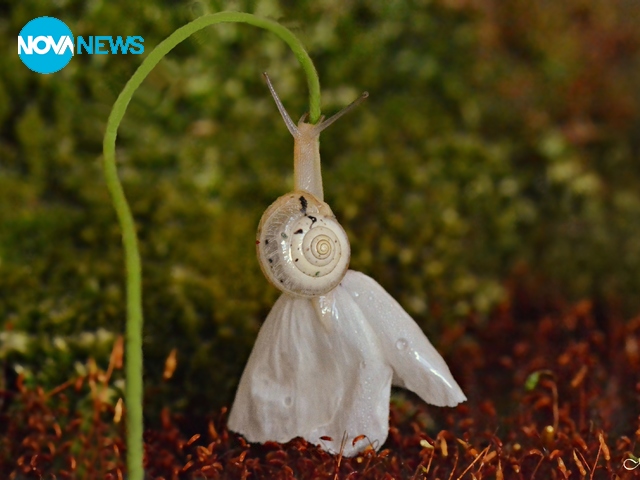 Снимки за "Прогноза за времето"