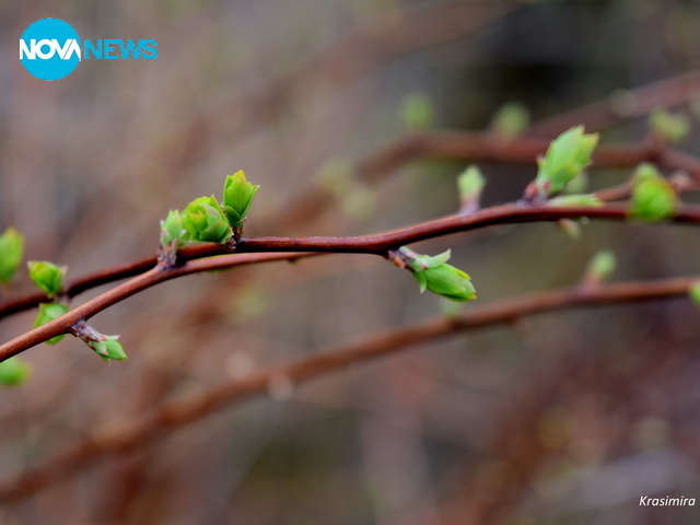 Разлистване