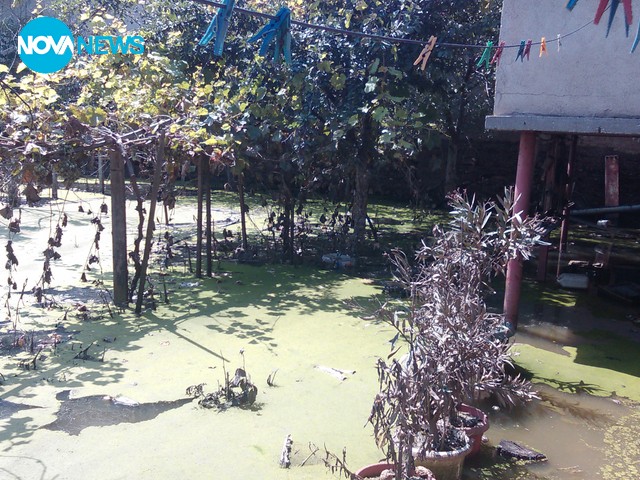 Текущата ситуация в Мизия