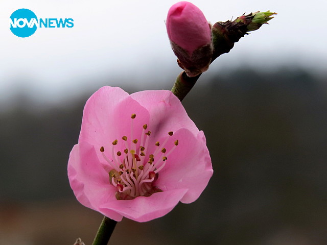 Красиво в мрачния мартенски ден