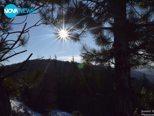 Слънчево утро