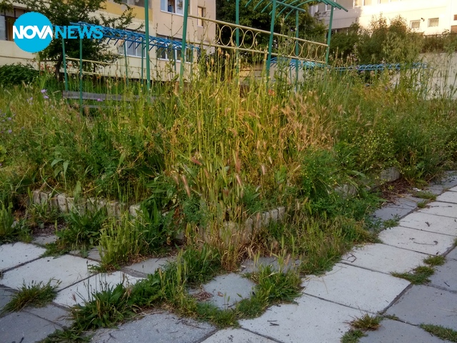 Междублоково пространство и детски площадки
