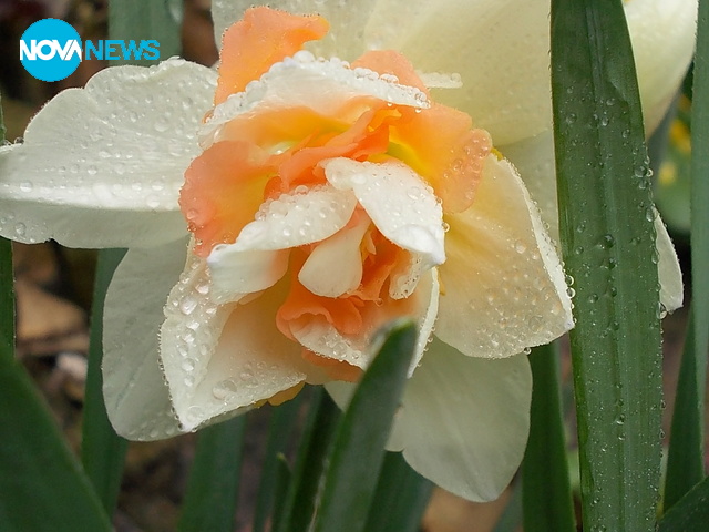За прогнозата на времето