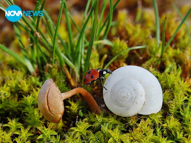 За прогнозата за времето