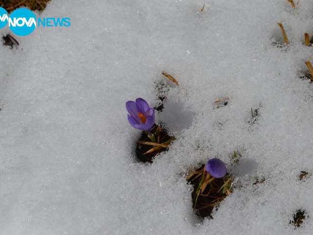 Пролетно настроение - със сняг и без сняг