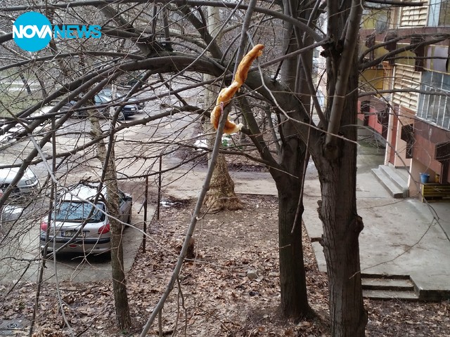 Кога ще се научим да не си хвърляме отпадъците от терасата?