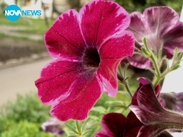 Снимка за времето