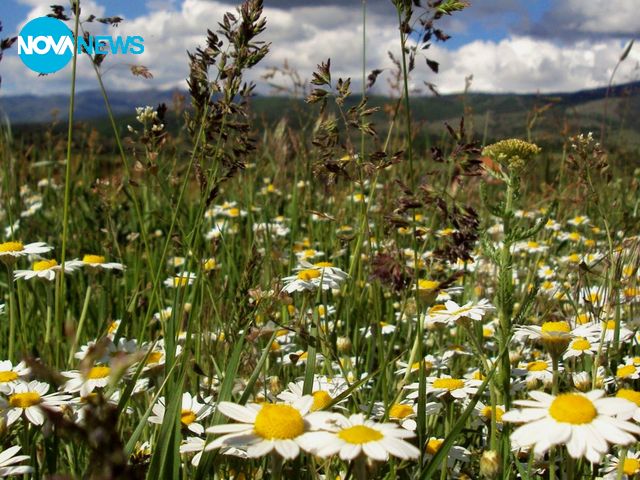 Прогноза за времето