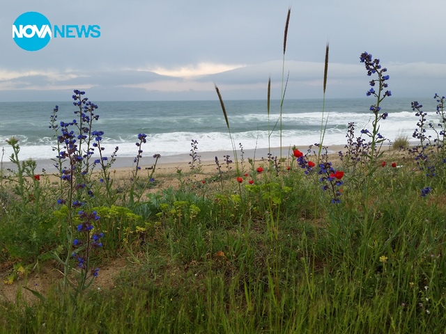 Преди буря на Дюни