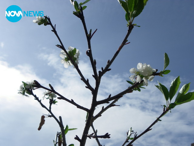 Усмихнато очакване на глобалното затопляне