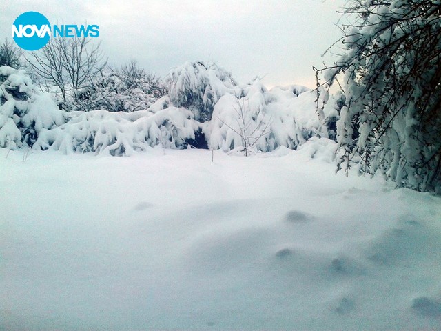 Снежната покривка