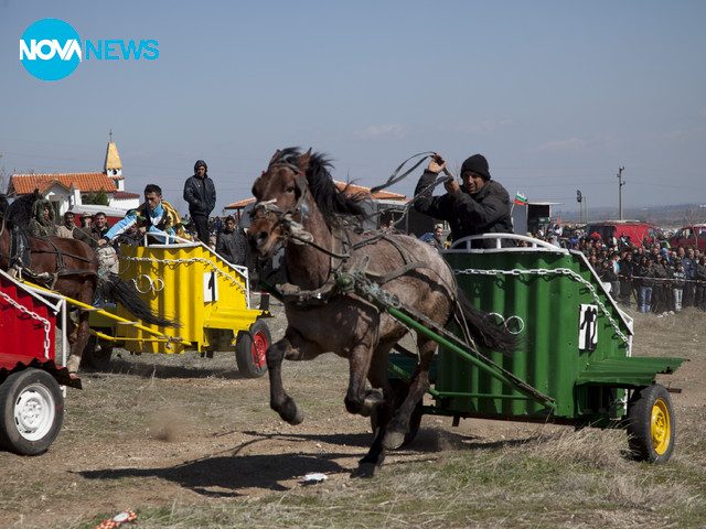 Честит Тодоровден!