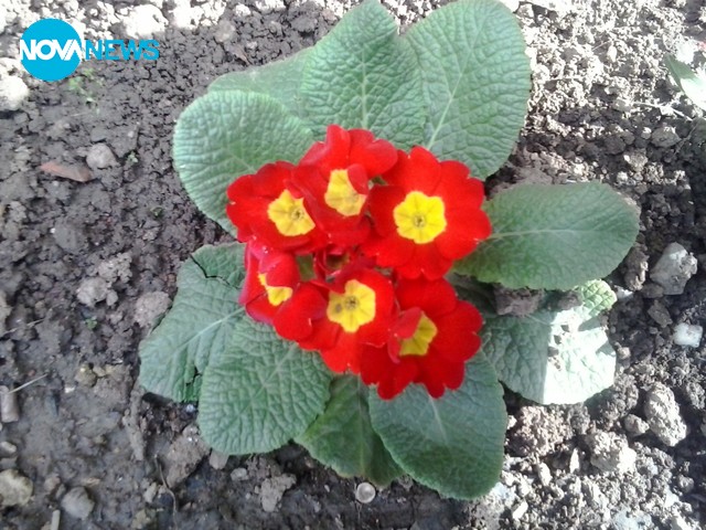 Повече от хиляди думи!