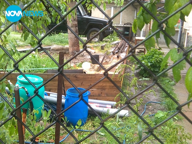 Куче, вързано под дъжда