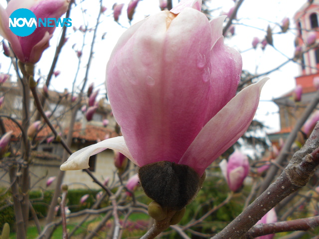 Окъпана от дъжда!