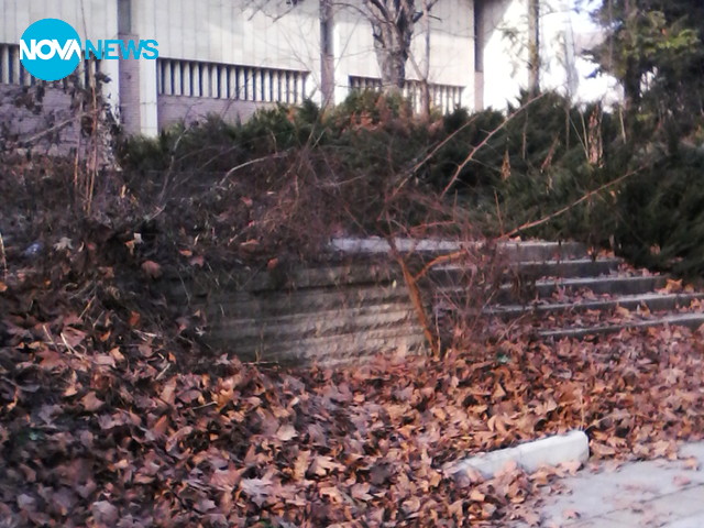 Плевен тъне в мръсотия
