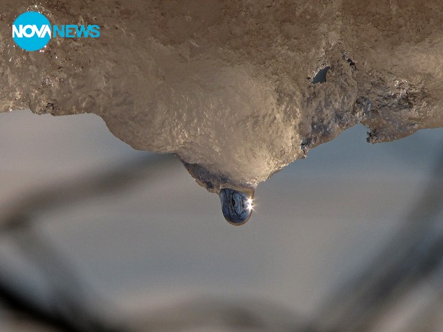 Капчуците отново запяха