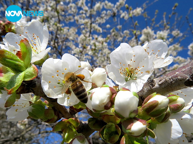 Посрещаме април със слънчеви, пролетни усмивки!