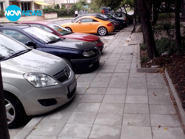 Пешеходна пътека