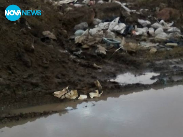 Никой не мисли за нас