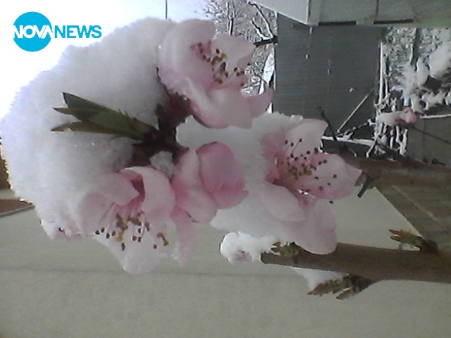 Първа пролет